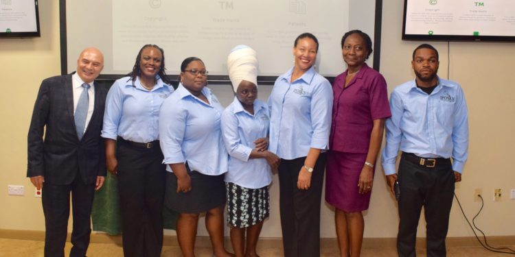 New Website for Intellectual Property Office in St. Kitts and Nevis