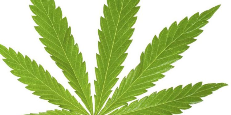 St. Kitts & Nevis Marijuana Commission