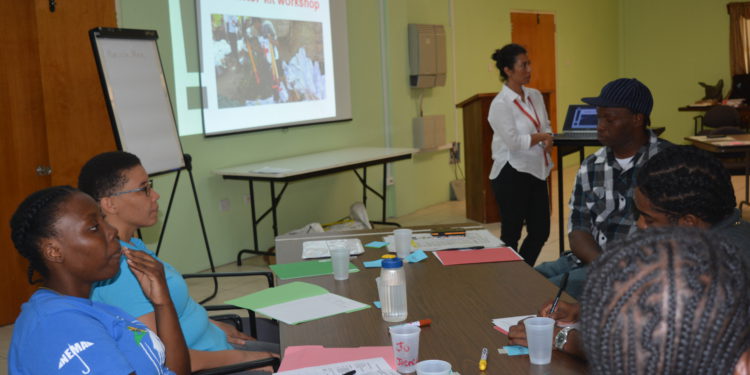 NEMA/RED CROSS COLLABORATE TO PROVIDE SHELTER TOOLKIT TRAINING