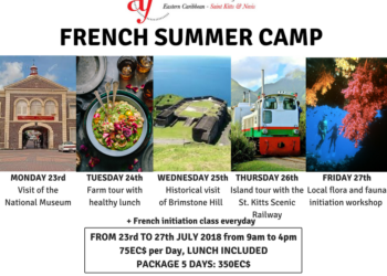 Summer Camp for Children