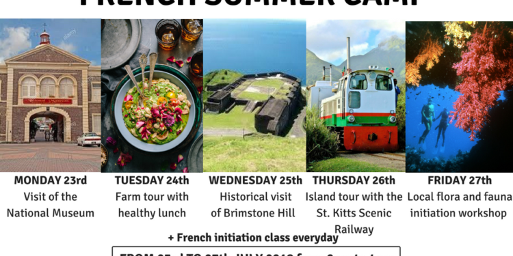 Summer Camp for Children