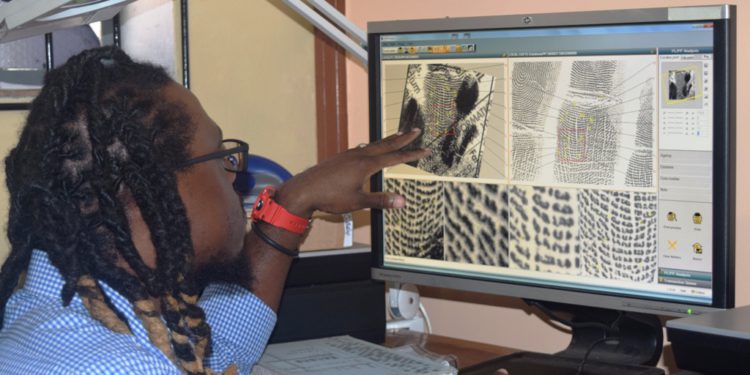 WORK OF CRIME SCENE INVESTIGATORS STEADILY PROGRESSING