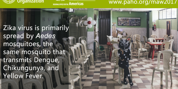 Department of Health Mosquito Awareness Release