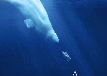 ST. KITTS-NEVIS TOURISM OFFICIALS BELIEVE “A PLASTIC OCEAN” DOCUMENTARY CAN ENCOURAGE REDUCTION IN PLASTIC POLLUTION