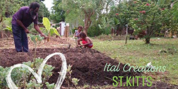 ST. KITTS TOURISM OFFICIAL BATS FOR GROWTH IN EXPERIENTIAL OPPORTUNITIES FOR TRAVELLERS