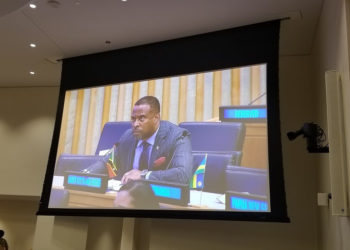 Foreign Minister participates in Commonwealth Foreign Affairs Ministers Meeting