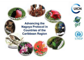 KEY STAKEHOLDERS TO PARTICIPATE IN ABS LEGISLATIVE REVIEW WORKSHOP IN ST. KITTS-NEVIS