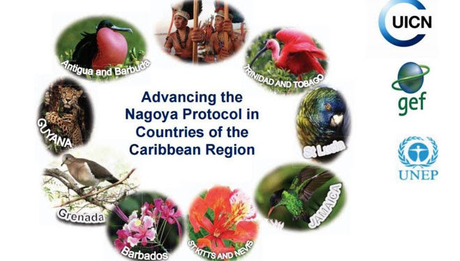 KEY STAKEHOLDERS TO PARTICIPATE IN ABS LEGISLATIVE REVIEW WORKSHOP IN ST. KITTS-NEVIS