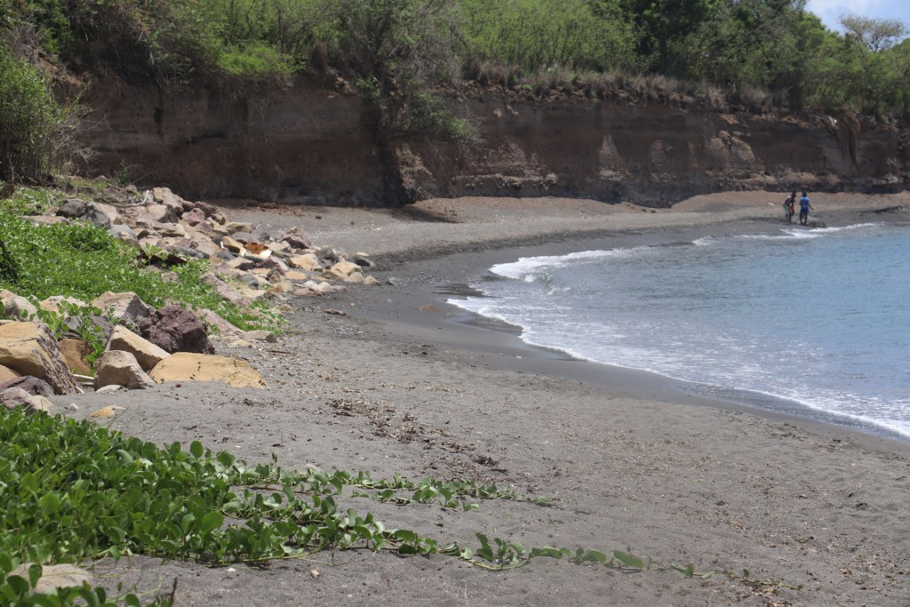 SCORES OF RESIDENTS ANSWER CALL TO CLEAN UP BAYS IN SANDY POINT, ST