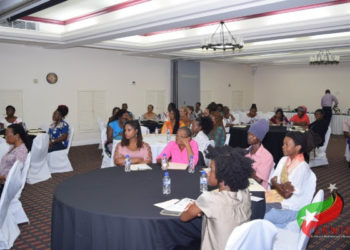 CRAFT ARTISANS IN ST. KITTS AND NEVIS FINE-TUNE SKILLS THROUGH CAPACITY BUILDING WORKSHOP