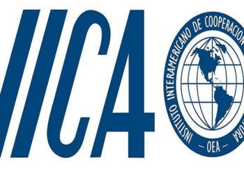 Bulletin: IICA Internship 2019