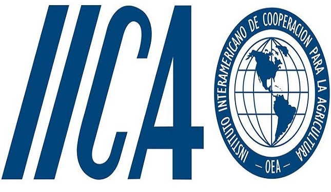 Bulletin: IICA Internship 2019