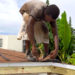 GOVERNMENT’S ROOF REPAIR PROJECT CONTINUES TO BRING JOY TO MANY HOMES