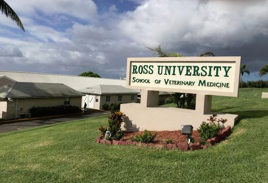 ST. KITTS AND NEVIS LOOKS TO ATTRACT ADDITIONAL INTERNATIONALLY ACCREDITED TERTIARY LEVEL INSTITUTIONS