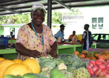 FARMERS IN ST.KITTS-NEVIS CONTINUE TO BENEFIT FROM ADVANCEMENTS IN AGRICULTURAL SECTOR