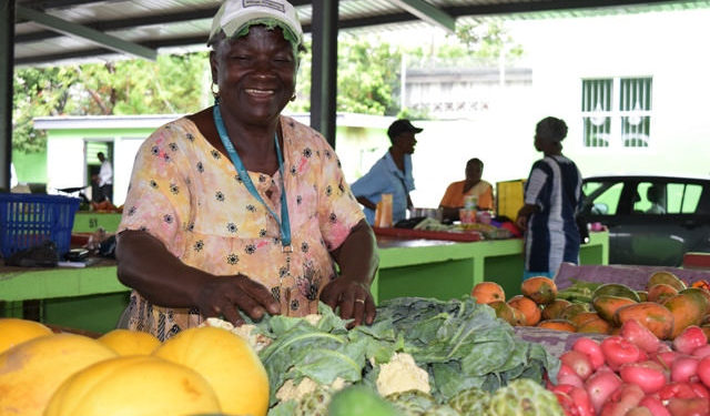 FARMERS IN ST.KITTS-NEVIS CONTINUE TO BENEFIT FROM ADVANCEMENTS IN AGRICULTURAL SECTOR