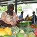 FARMERS IN ST.KITTS-NEVIS CONTINUE TO BENEFIT FROM ADVANCEMENTS IN AGRICULTURAL SECTOR