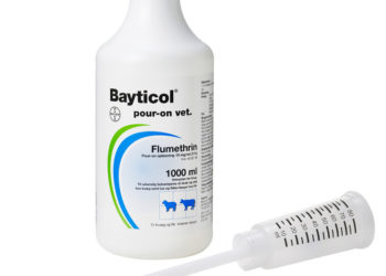 DEPARTMENT OF AGRICULTURE INFORMS THAT BAYTICOL HAS ARRIVED IN THE FEDERATION AND WILL BE AVAILABLE NEXT WEEK