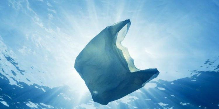 St. Kitts Launches Plastic Free Campaign