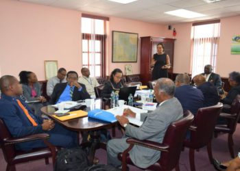 ST. KITTS AND NEVIS CABINET RECEIVES DELEGATION FROM LIAT