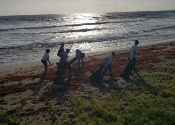 OFFICIALS SUGGEST VOLUNTEER CORPS SHOULD BE MORE ACTIVE IN EDUCATION