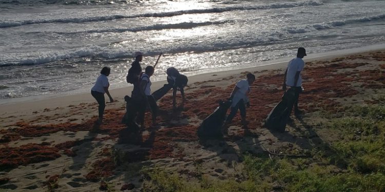 OFFICIALS SUGGEST VOLUNTEER CORPS SHOULD BE MORE ACTIVE IN EDUCATION