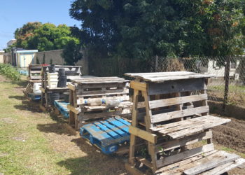 TOURISM EDUCATION PROGRAMME TO ROLL OUT GARDEN PROJECT IN SEPTEMBER 2019