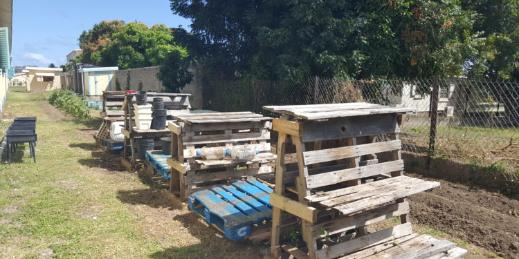 TOURISM EDUCATION PROGRAMME TO ROLL OUT GARDEN PROJECT IN SEPTEMBER 2019