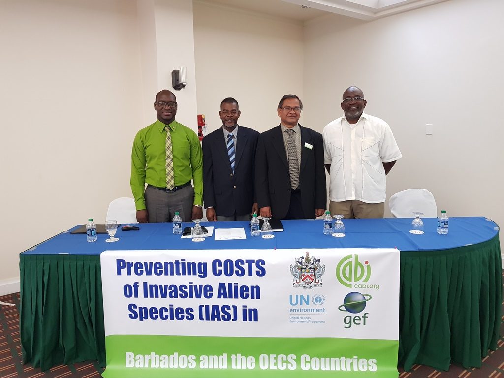 ST. KITTS-NEVIS LAUNCHES PROJECT TO MINIMIZE HARMFUL EFFECTS OF INVASIVE ALIEN SPECIES
