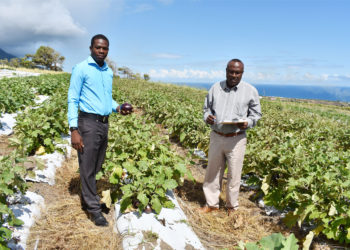 STEP is a great contributor to nation’s food security  