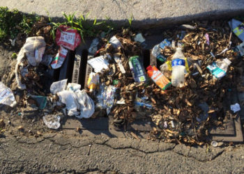 PROPER WASTE DISPOSAL IMPORTANT BEFORE A HURRICANE STRIKES