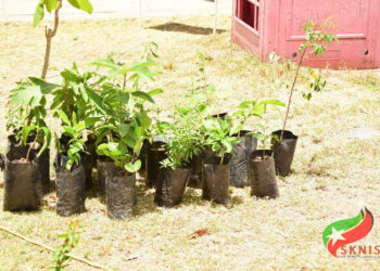 FOOD SECURITY TAKEN INTO CONSIDERATION FOR THE 2019 NATIONAL BEST VILLAGE COMPETITION