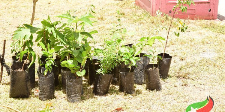 FOOD SECURITY TAKEN INTO CONSIDERATION FOR THE 2019 NATIONAL BEST VILLAGE COMPETITION