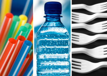 SINGLE USE PLASTICS PRESENT A DANGER TO THE LOCAL ENVIRONMENT, SAYS DIRECTOR OF DEPARTMENT OF ENVIRONMENT IN ST. KITTS