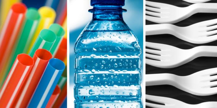 SINGLE USE PLASTICS PRESENT A DANGER TO THE LOCAL ENVIRONMENT, SAYS DIRECTOR OF DEPARTMENT OF ENVIRONMENT IN ST. KITTS