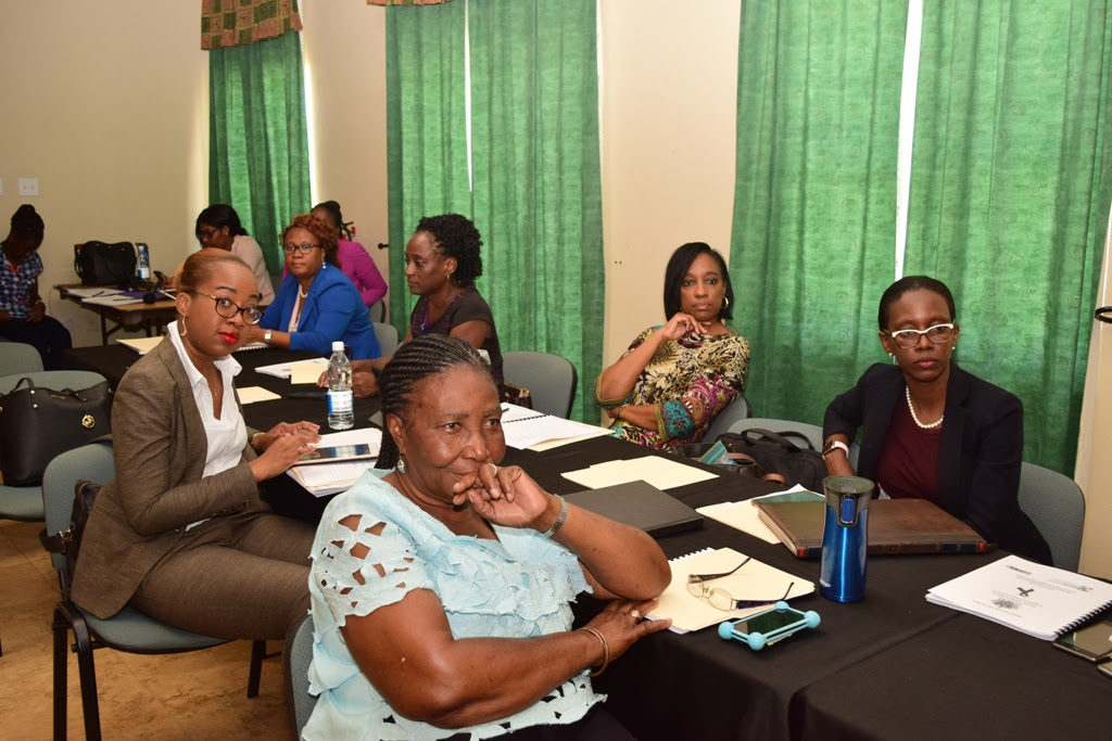 STAKEHOLDERS IN ST. KITTS-NEVIS PARTICIPATE IN WORKSHOP AIMED AT ADDRESSING DOMESTIC AND SEXUAL VIOLENCE ISSUES