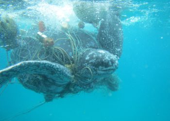 SKSTMN Monofilament Recycling Bin Program Launched