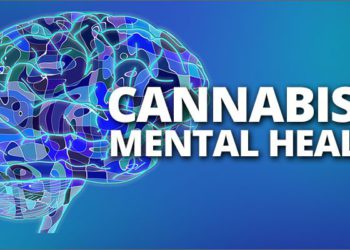 LINK BETWEEN DRUG ABUSE AND MENTAL HEALTH UNDERSCORED DURING DEBATE ON DRUGS (AMENDMENT) BILL 2019