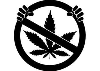 DRIVING UNDER THE INFLUENCE OF DRUGS IS CONSIDERED A MATTER OF PUBLIC HEALTH, SAYS SENATOR PHIPPS