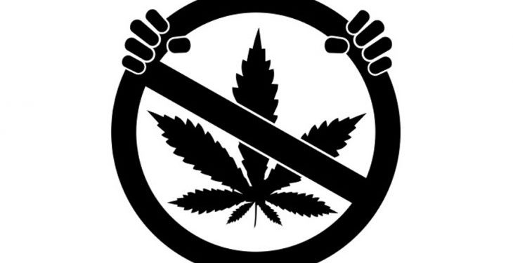 DRIVING UNDER THE INFLUENCE OF DRUGS IS CONSIDERED A MATTER OF PUBLIC HEALTH, SAYS SENATOR PHIPPS