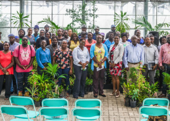 400 PLANTS HANDED OVER TO REGISTERED COMMUNITIES PARTICIPATING IN THE 2019 NATIONAL BEST VILLAGE COMPETITION