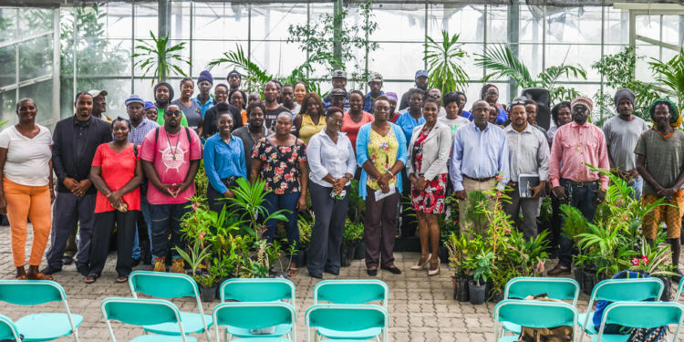 400 PLANTS HANDED OVER TO REGISTERED COMMUNITIES PARTICIPATING IN THE 2019 NATIONAL BEST VILLAGE COMPETITION