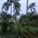 Hurricane Dorian Batters Bahamas as ‘Catastrophic’ Storm
