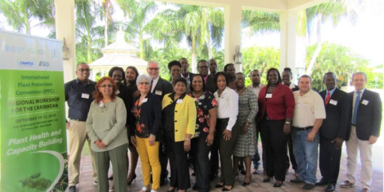 Caribbean countries discuss international standards on plant health and pest prevention