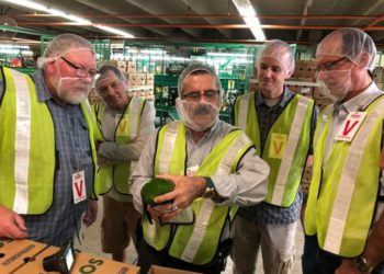 Technological advances are revolutionizing regional trade in Mexican avocados