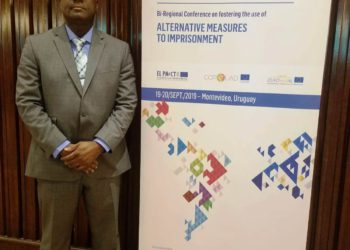 COMMISSIONER OF CORRECTIONS PARTICIPATES IN CONFERENCE ON ALTERNATIVE MEASURES TO IMPRISONMENT