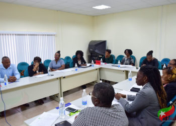 CAPACITY-BUILDING WORKSHOP PREPARES STATISTICIANS TO SUCCESSFULLY EXECUTE 2021 CENSUS
