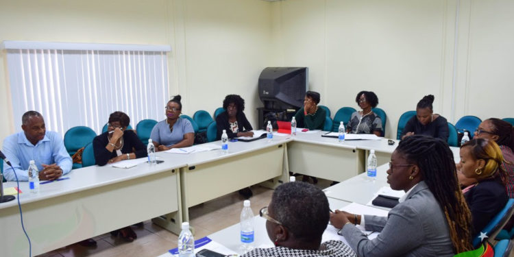 CAPACITY-BUILDING WORKSHOP PREPARES STATISTICIANS TO SUCCESSFULLY EXECUTE 2021 CENSUS