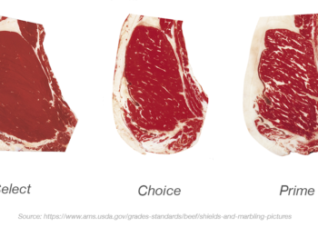 MEAT FABRICATION WORKSHOP TO HELP ST. KITTS-NEVIS FARMERS INCREASE REVENUES