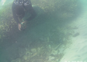 VOLUNTEERS TEAM UP TO CLEANUP COCKLESHELL BEACH ON SOUTHEAST PENINSULA